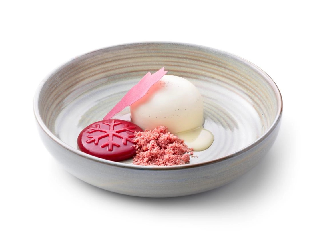 Panna cotta moelleux - Debic